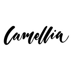 Fototapeta na wymiar Floral vector calligraphic logo. Flower Camellia. Hand calligraphy with brush, lettering, modern design for decoration of flower shops, cosmetics, garden. For emblems, prints, label. Isolated Eps 10.