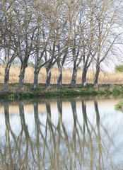 Balade au bord du canal