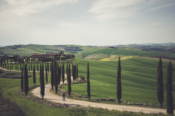 Obraz premium Rural landscape with a row of cypress trees and a villa during spring.