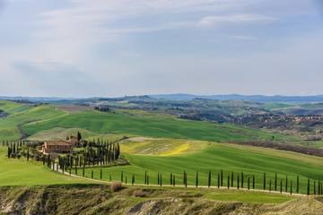 Rural landscape with a row of cypress trees and a villa during spring.