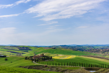 Rural landscape with a row of cypress trees and a villa during spring.