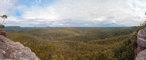 Aerial landscape panorama of vast mountain forest