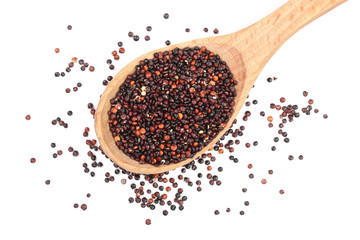 Black quinoa seeds in wooden spoon isolated on white background. Top view