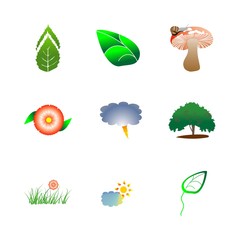 icon Nature with mushroom head, flower, weather, cloud and decoration