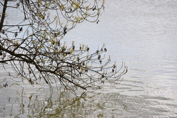 Pantano de Utxesa