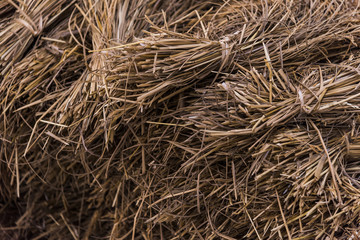 Dried hay or straw with grains