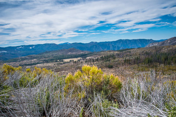 Landscape of Yosemite National Park 