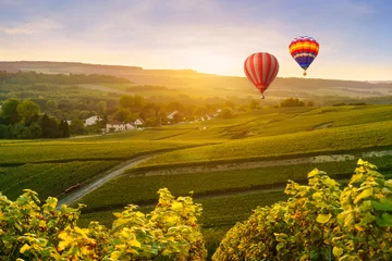 Deurstickers Kleurrijke heteluchtballonnen die over champagnewijngaarden vliegen bij montagne de Reims, Frankrijk © Southtownboy Studio