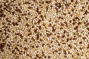 Dry seeds mixed quinoa