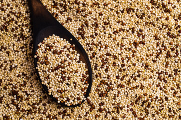 Dry seeds mixed quinoa