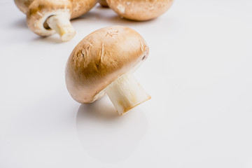 fresh brown portabello mushroom on white background.