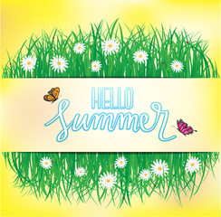 Hello Summer, Butterfly flying above the grass with flowers, Spring, Summer background