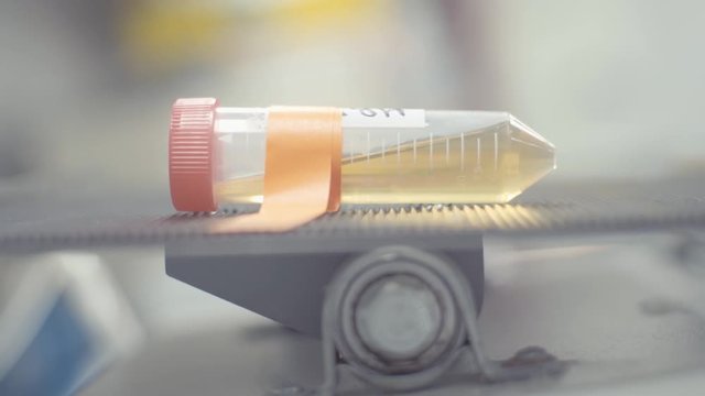 a liquid sample in a tube on a rocker