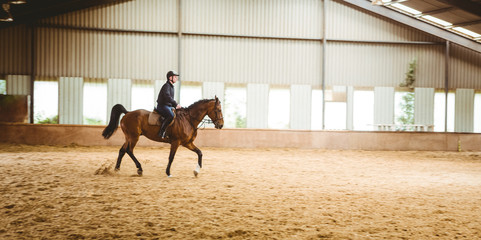 Female rider riding horse in stable