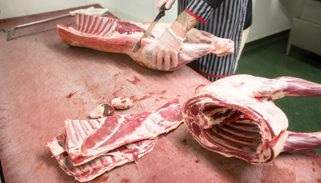 Mid section of butcher cutting the ribs of pork carcass