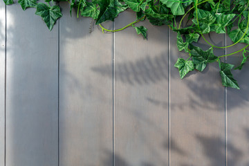 Wooden table background in a evening light. With shadows from a vine.