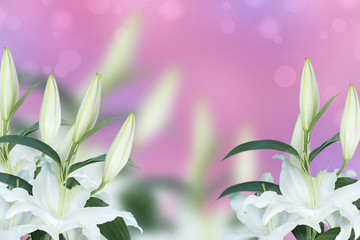 Natural bouquet of lilies on pink blurred background.