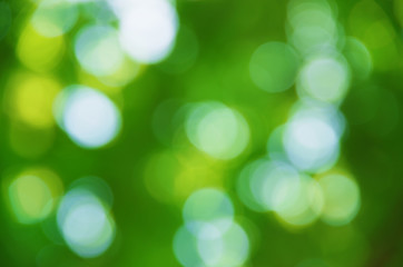 Obraz premium Natural blurred background.