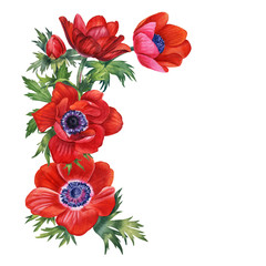 Anemones border. Watercolor hand painted red anemones flowers frame. Can be used as print, postcard, invitation , packaging design, template, greeting card, textile, template,sticker.