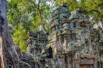 Naklejka premium Cambodia Angkor Complex 360 