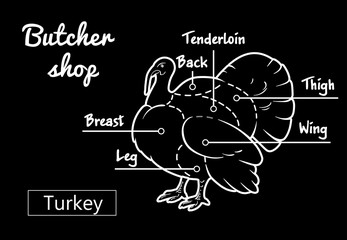 Meat cuts. Poster Butcher diagram and scheme - Turkey. Vintage hand-drawn black and white typographic with text on Dutch. Diagrams for butcher shop, design for restaurant or cafe. Vector Illustration