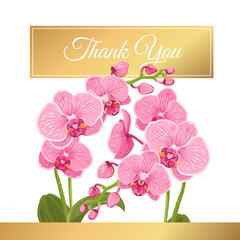Bright pink purple exotic orchid phalaenopsis flower plants bouquet. Isolated white background. Shiny golden gradient text placeholder. Courtesy thank you card template. Rectangle box frame.