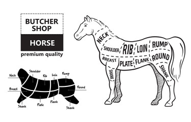 Scheme of cutting horse meat with cutting lines. Design for butcher shop, banner. Diagram on white background. Vector illustration.