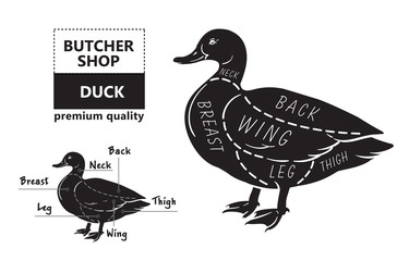 Typographic duck butcher cuts diagram scheme. Premium guide meat label