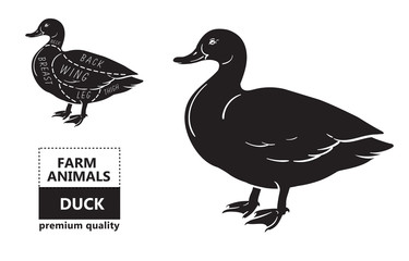 Typographic duck butcher cuts diagram scheme. Premium guide meat label
