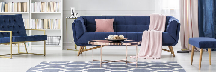 Sophisticated blue living room interior