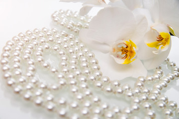 Obraz na płótnie Canvas pearl and white orchid on a white glass 