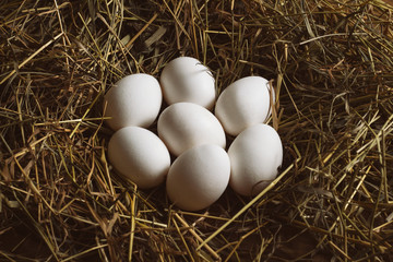 White Chicken Eggs on a hay on a wooden background. Farm Concept