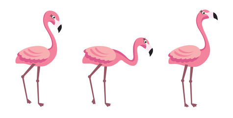 Fototapeta premium Flamingo - trendy vector illustration template in flat style with flamingos