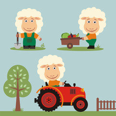 Set of funny sheep farmer with shovel, with wheelbarrow with vegetables, in farm tractor. Collection of sheep is working on the farm.