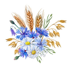 Fototapeta na wymiar summer flowers cornflowers, chamomile, oat and wheat branches bunch. Can be used as print, packaging design, element design, stickers, element design, template and so on.