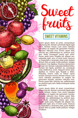 Obraz premium Fruit and berry banner with natural farm product