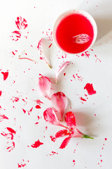 Background, texture. Pink lily flowers and splashes of paint on a white background. Creative layout. Flat lay