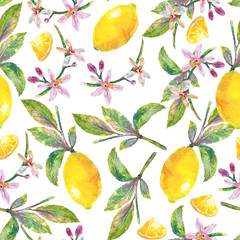 Lemons  with green leaves, lemon slices and flowers. Seamless pattern branch lemon tree on white background. Illustration hand drawn watercolor.
