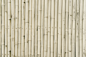 Bamboo row texture background