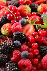 assortment of berries