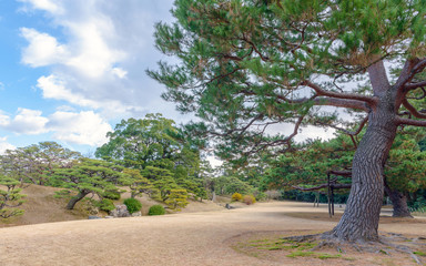 栗林公園 庭園風景