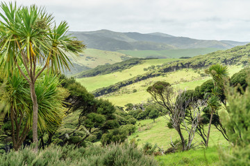 Fototapeta na wymiar scenic shot of valley with green hills, New Zealand