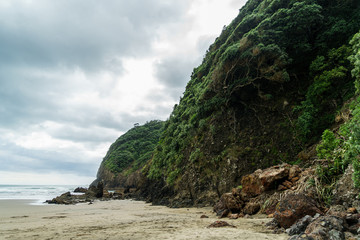 Fototapeta na wymiar dramatic shot of green cliff on ocean coastline on cloudy day, Piha beach, New Zealand