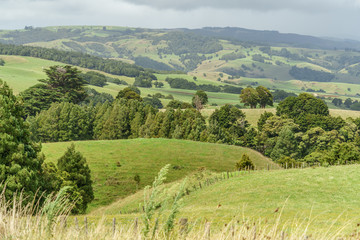 Fototapeta na wymiar aerial view of beautiful green fields, New Zealand