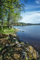 Landscape on the shore of a lake in Karelia