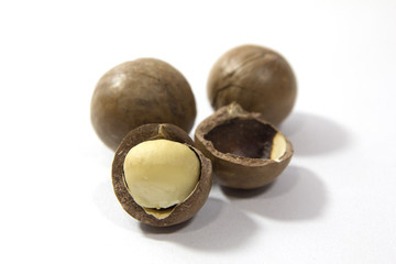 Macadamia nuts on a white background.