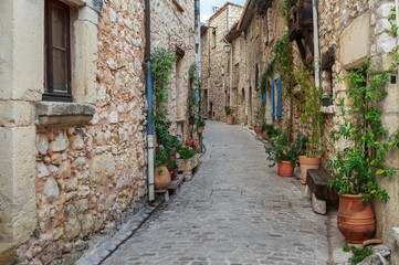 Fototapeta na wymiar Narrow cobbled street with flowers in the old village Tourrettes-sur-Loup , France.