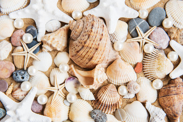 sea shells with sand as background