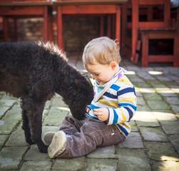 Boy and the dog