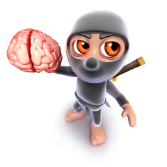3d Funny cartoon ninja assassin warrior holding a human brain © Steve Young